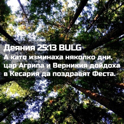 Picture 02 - Деяния 25:13 BULG - А като изминаха няколко - Bible Verse Picture
