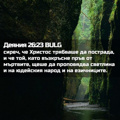 Picture 02 - Деяния 26:23 BULG - сиреч, че Христос трябваше - Bible Verse Picture