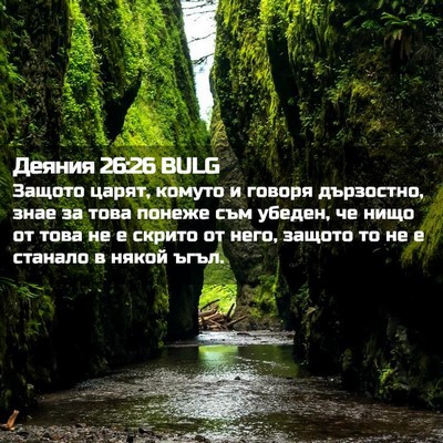 Picture 02 - Деяния 26:26 BULG - Защото царят, комуто и - Bible Verse Picture