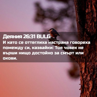 Picture 02 - Деяния 26:31 BULG - И като се оттеглиха - Bible Verse Picture