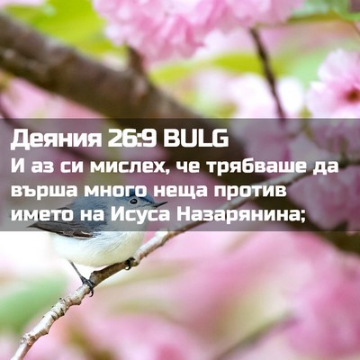 Picture 02 - Деяния 26:9 BULG - И аз си мислех, че трябваше - Bible Verse Picture
