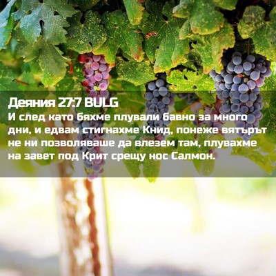 Picture 02 - Деяния 27:7 BULG - И след като бяхме плували - Bible Verse Picture