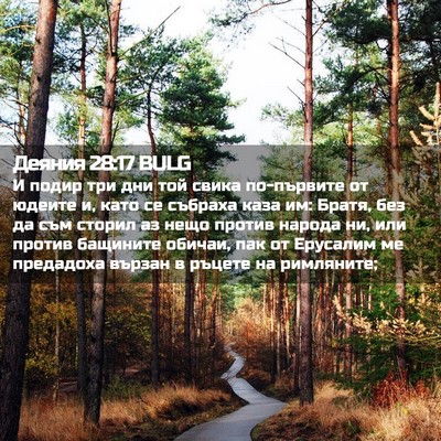 Picture 02 - Деяния 28:17 BULG - И подир три дни той свика - Bible Verse Picture