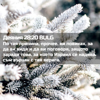 Picture 02 - Деяния 28:20 BULG - По тая причина, прочее, ви - Bible Verse Picture