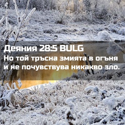 Picture 02 - Деяния 28:5 BULG - Но той тръсна змията в - Bible Verse Picture
