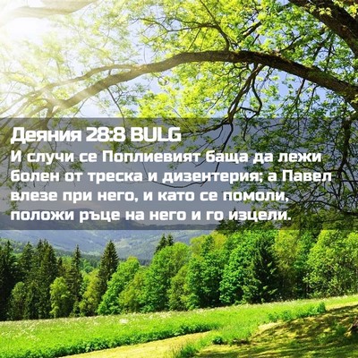 Picture 02 - Деяния 28:8 BULG - И случи се Поплиевият баща - Bible Verse Picture
