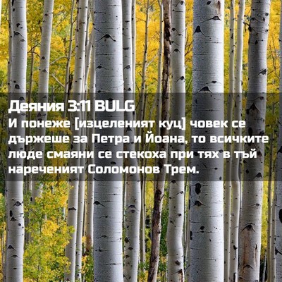 Picture 02 - Деяния 3:11 BULG - И понеже [изцеленият куц] - Bible Verse Picture