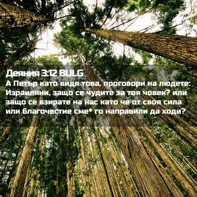 Picture 02 - Деяния 3:12 BULG - А Петър като видя това, - Bible Verse Picture