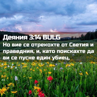Picture 02 - Деяния 3:14 BULG - Но вие се отрекохте от - Bible Verse Picture