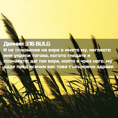 Picture 02 - Деяния 3:16 BULG - И на основание на вяра в - Bible Verse Picture