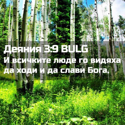 Picture 02 - Деяния 3:9 BULG - И всичките люде го видяха - Bible Verse Picture