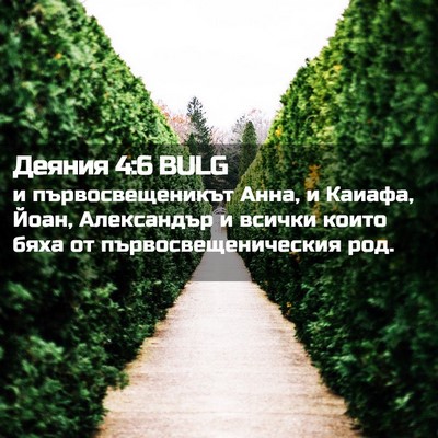 Picture 02 - Деяния 4:6 BULG - и първосвещеникът Анна, и - Bible Verse Picture
