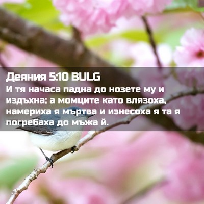 Picture 02 - Деяния 5:10 BULG - И тя начаса падна до нозете - Bible Verse Picture