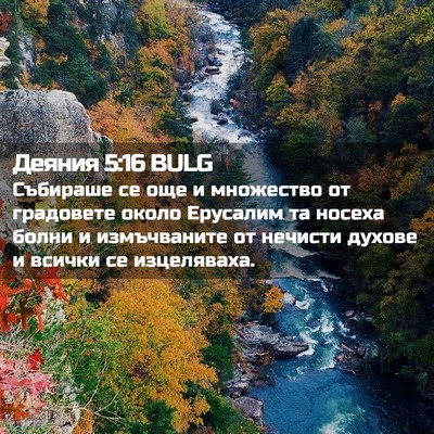 Picture 02 - Деяния 5:16 BULG - Събираше се още и - Bible Verse Picture