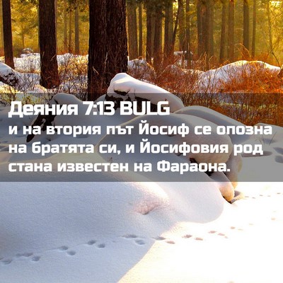 Picture 02 - Деяния 7:13 BULG - и на втория път Йосиф се - Bible Verse Picture