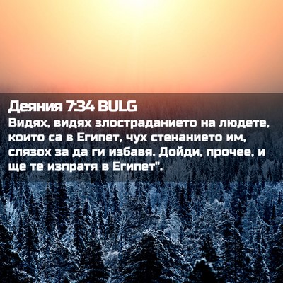 Picture 02 - Деяния 7:34 BULG - Видях, видях - Bible Verse Picture