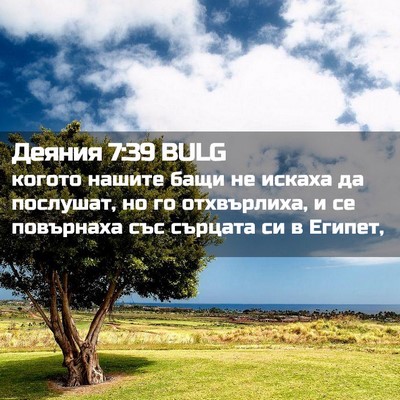 Picture 02 - Деяния 7:39 BULG - когото нашите бащи не - Bible Verse Picture