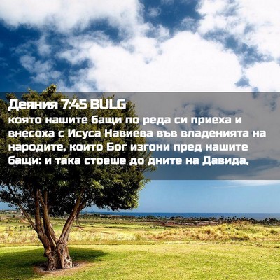 Picture 02 - Деяния 7:45 BULG - която нашите бащи по реда - Bible Verse Picture