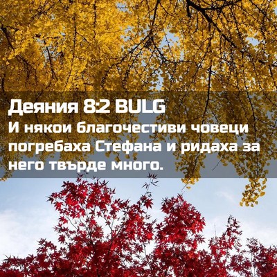 Picture 02 - Деяния 8:2 BULG - И някои благочестиви - Bible Verse Picture