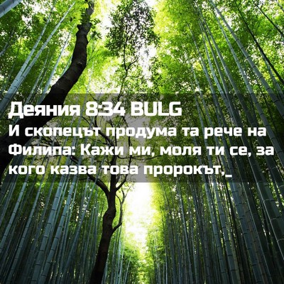 Picture 02 - Деяния 8:34 BULG - И скопецът продума та рече - Bible Verse Picture