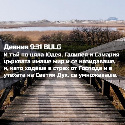 Picture 02 - Деяния 9:31 BULG - И тъй по цяла Юдея, Галилея - Bible Verse Picture