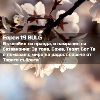 Picture 02 - Евреи 1:9 BULG - Възлюбил си правда, и - Bible Verse Picture