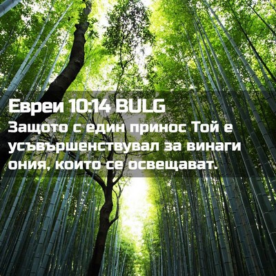 Picture 02 - Евреи 10:14 BULG - Защото с един принос Той е - Bible Verse Picture