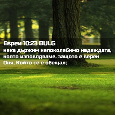 Picture 02 - Евреи 10:23 BULG - нека държим непоколебимо - Bible Verse Picture