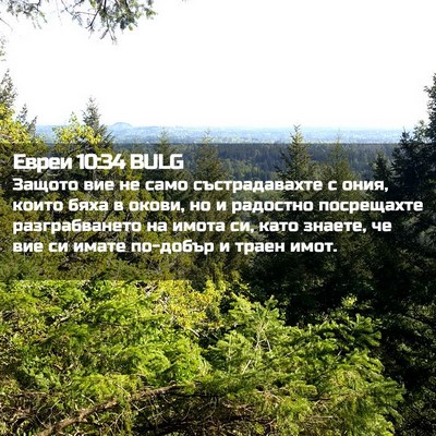 Picture 02 - Евреи 10:34 BULG - Защото вие не само - Bible Verse Picture