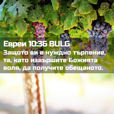 Picture 02 - Евреи 10:36 BULG - Защото ви е нуждно - Bible Verse Picture