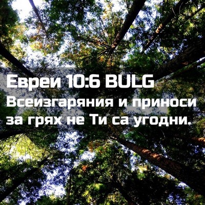 Picture 02 - Евреи 10:6 BULG - Всеизгаряния и приноси за - Bible Verse Picture
