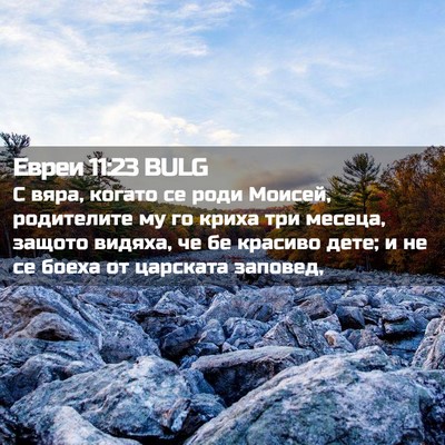Picture 02 - Евреи 11:23 BULG - С вяра, когато се роди - Bible Verse Picture