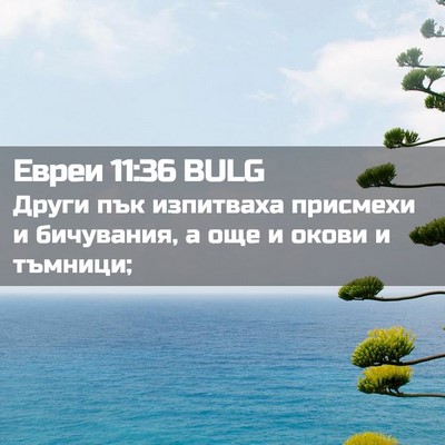 Picture 02 - Евреи 11:36 BULG - Други пък изпитваха - Bible Verse Picture