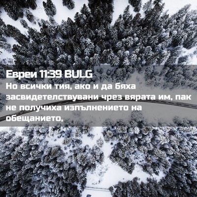 Picture 02 - Евреи 11:39 BULG - Но всички тия, ако и да бяха - Bible Verse Picture