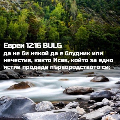 Picture 02 - Евреи 12:16 BULG - да не би някой да е блудник - Bible Verse Picture