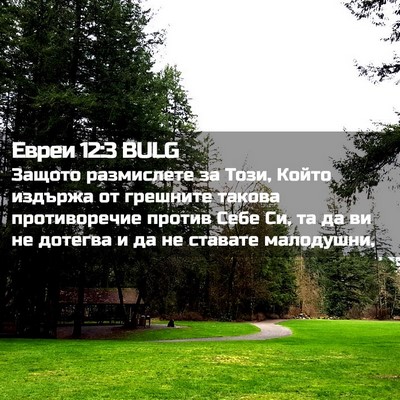 Picture 02 - Евреи 12:3 BULG - Защото размислете за Този, - Bible Verse Picture
