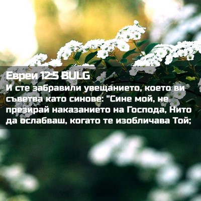 Picture 02 - Евреи 12:5 BULG - И сте забравили - Bible Verse Picture