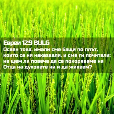 Picture 02 - Евреи 12:9 BULG - Освен това, имали сме бащи - Bible Verse Picture