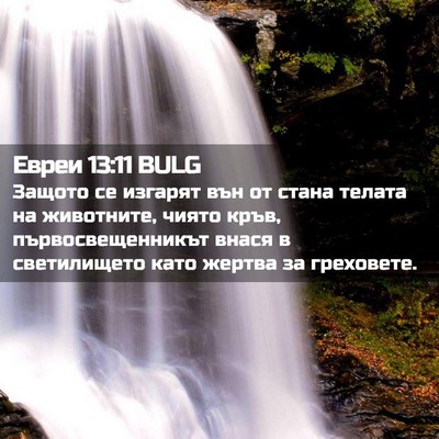 Picture 02 - Евреи 13:11 BULG - Защото се изгарят вън от - Bible Verse Picture