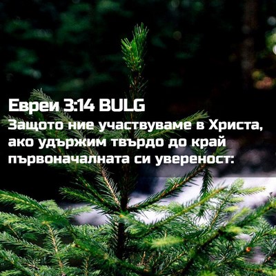 Picture 02 - Евреи 3:14 BULG - Защото ние участвуваме в - Bible Verse Picture
