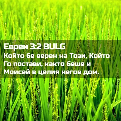 Picture 02 - Евреи 3:2 BULG - Който бе верен на Този, - Bible Verse Picture