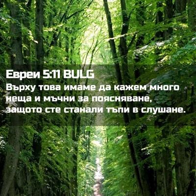 Picture 02 - Евреи 5:11 BULG - Върху това имаме да кажем - Bible Verse Picture