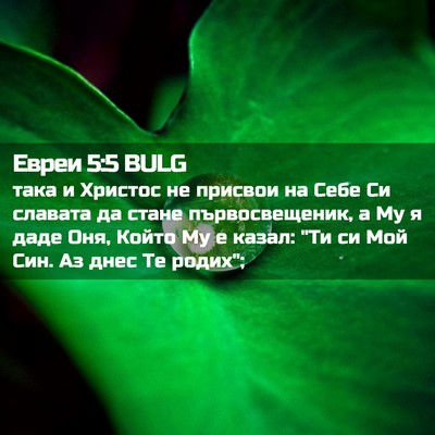 Picture 02 - Евреи 5:5 BULG - така и Христос не присвои - Bible Verse Picture