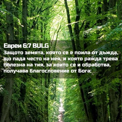 Picture 02 - Евреи 6:7 BULG - Защото земята, която се е - Bible Verse Picture