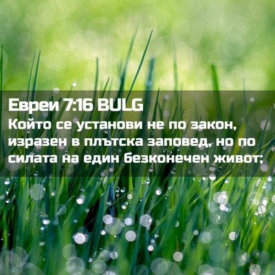 Picture 02 - Евреи 7:16 BULG - Който се установи не по - Bible Verse Picture