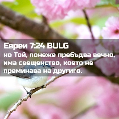 Picture 02 - Евреи 7:24 BULG - но Той, понеже пребъдва - Bible Verse Picture