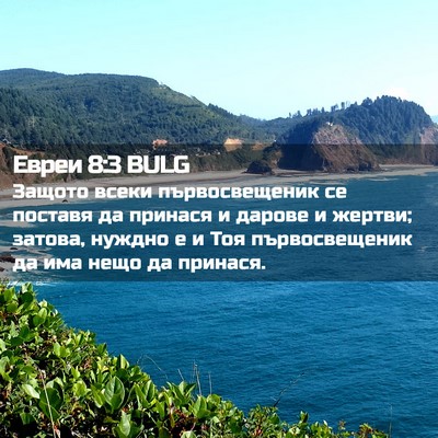 Picture 02 - Евреи 8:3 BULG - Защото всеки - Bible Verse Picture