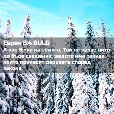 Picture 02 - Евреи 8:4 BULG - А ако беше на земята, Той не - Bible Verse Picture
