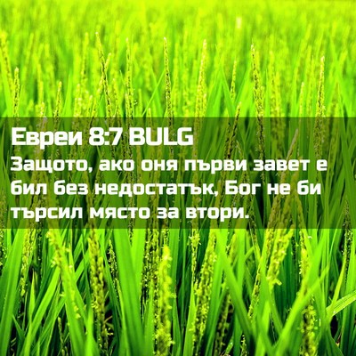 Picture 02 - Евреи 8:7 BULG - Защото, ако оня първи завет - Bible Verse Picture