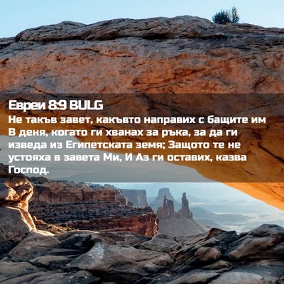 Picture 02 - Евреи 8:9 BULG - Не такъв завет, какъвто - Bible Verse Picture
